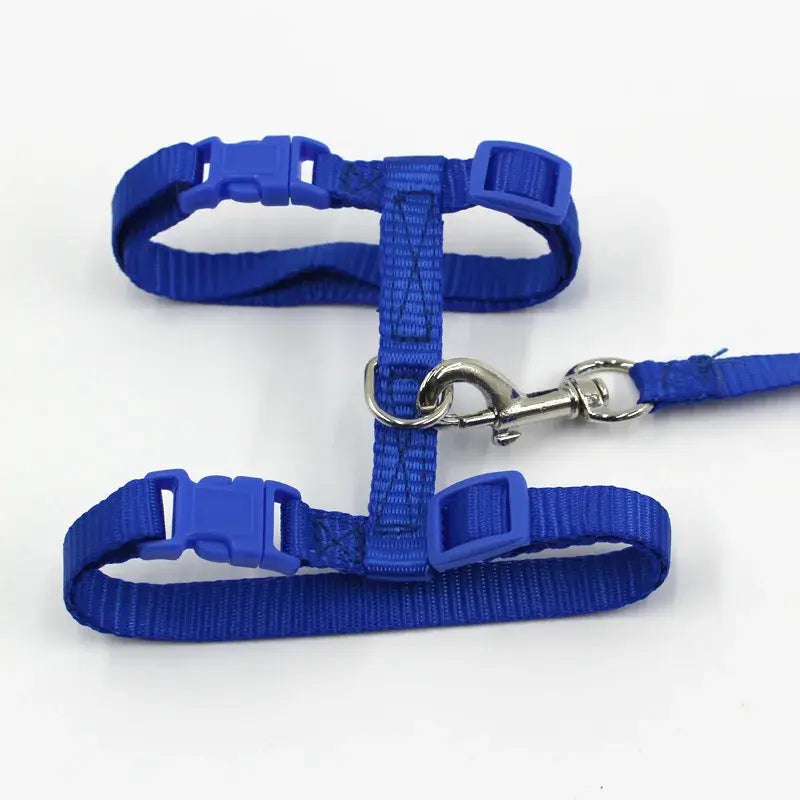 Cat Walking Harness and Leash - Secure & Comfortable Harness for Cats