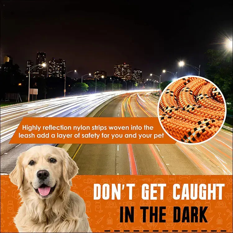 Reflective Dog Leash for Night Walking