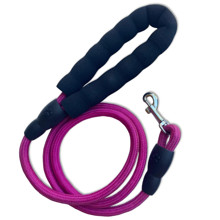 Reflective Dog Leash for Night Walking