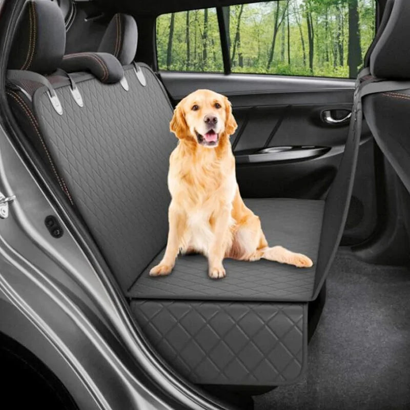 Dog inside a vehicle on mat cover