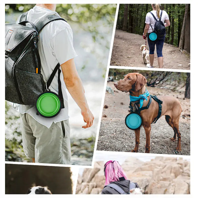 Portable Collapsible Pet Bowls